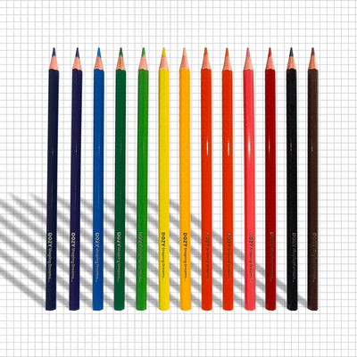DOZY 12 Colour Pencils Set – Extra Smooth & Vibrant Shades (Pack of 3)