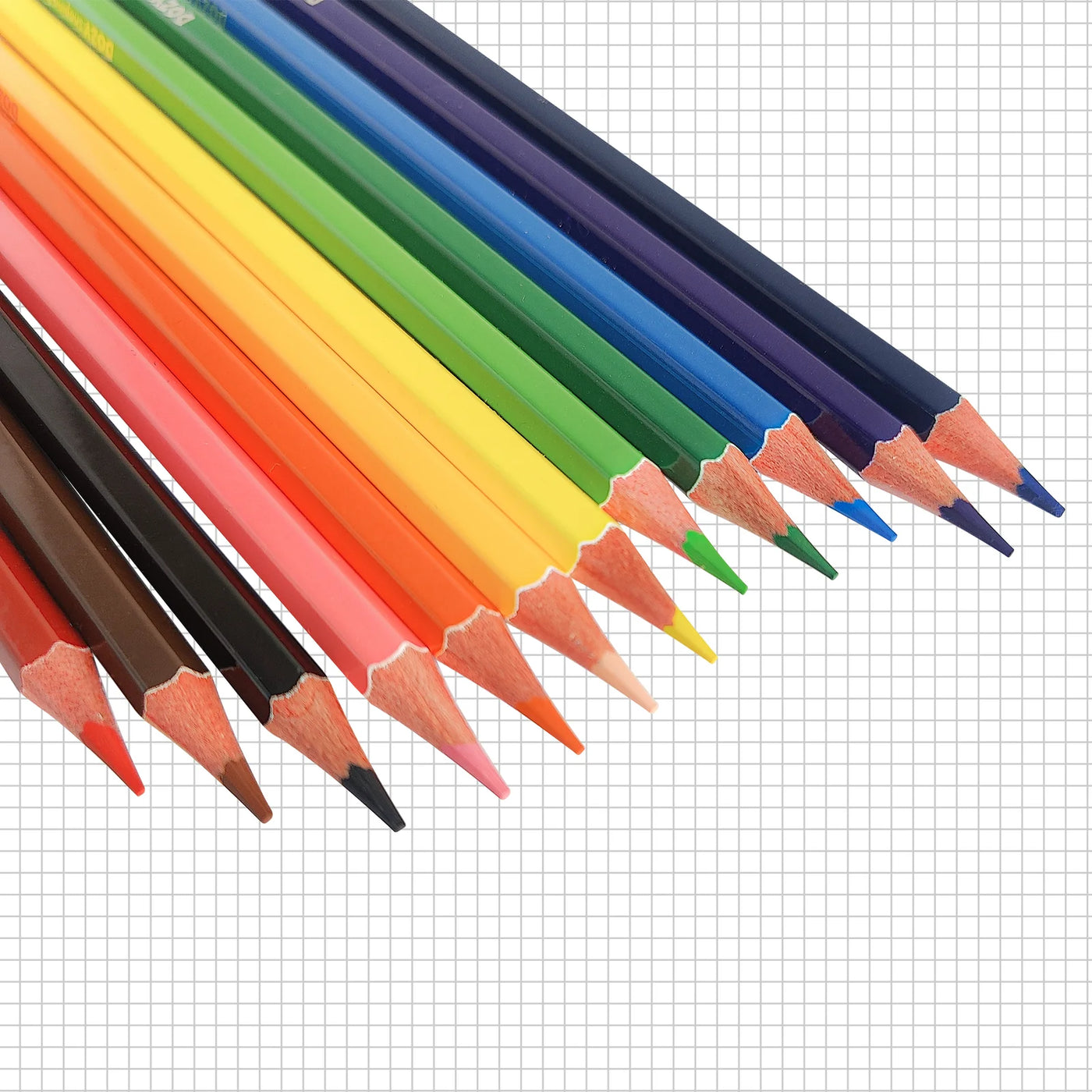 DOZY 12 Colour Pencils Set – Extra Smooth & Vibrant Shades (Pack of 3)